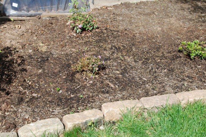 lots of dirt ready for flowers - Homegrown Friends