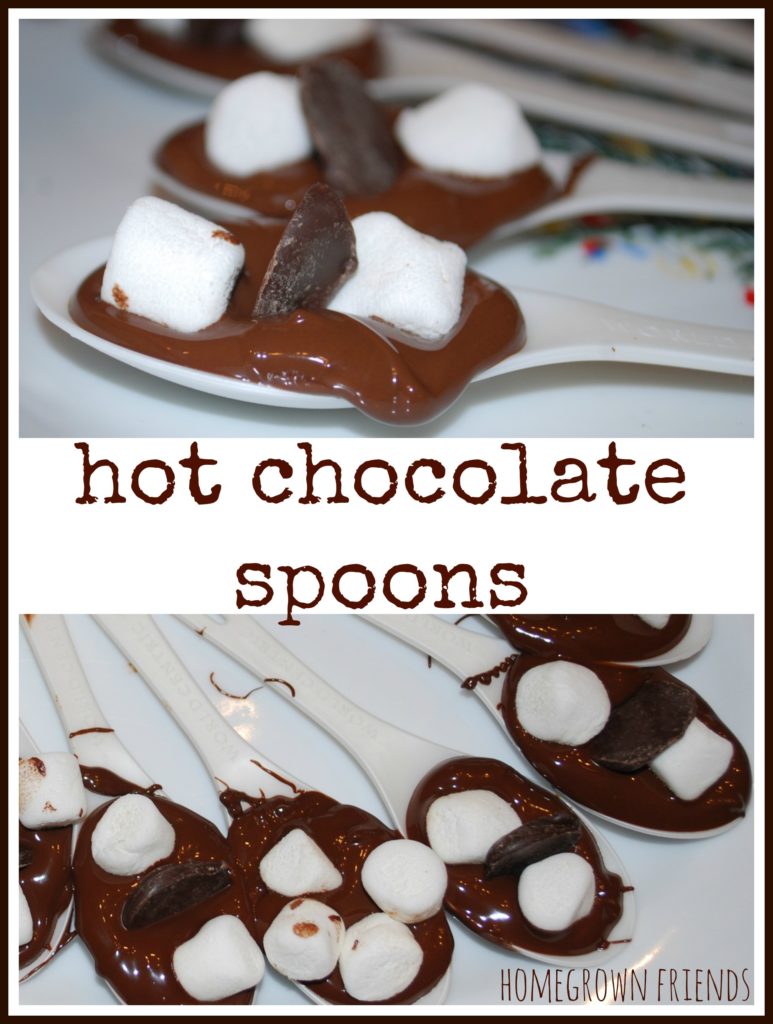 Hot Chocolate Spoons - Homegrown Friends